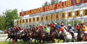 Is There Any Horse Racing in Malaysia?